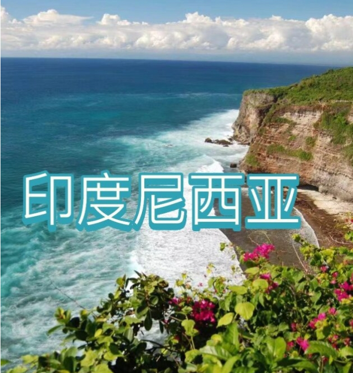 国际电商(印尼)产业博览会pg电子入口2025中国(图1)