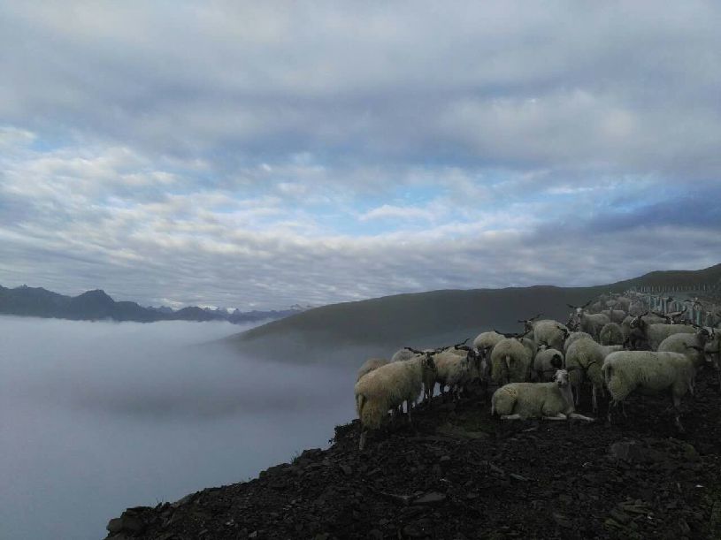 中国】达瓦更扎看云海pg电子模拟器【大美(图3)