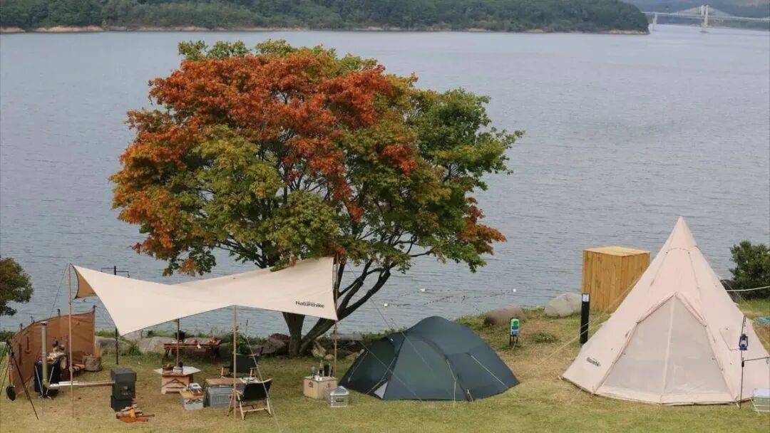 50万条！宁波老板收割海外中产闷声发大财pg电子免费模拟器游戏吸金15亿一年爆卖(图3)